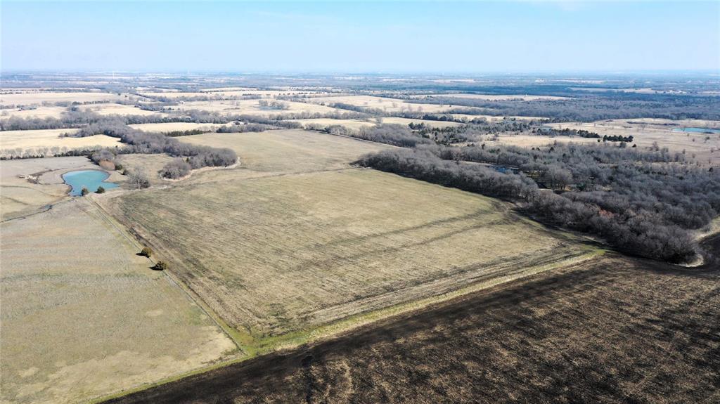 988 County Road 4142 Bonham, TX 75418 - Photo 5 of 23