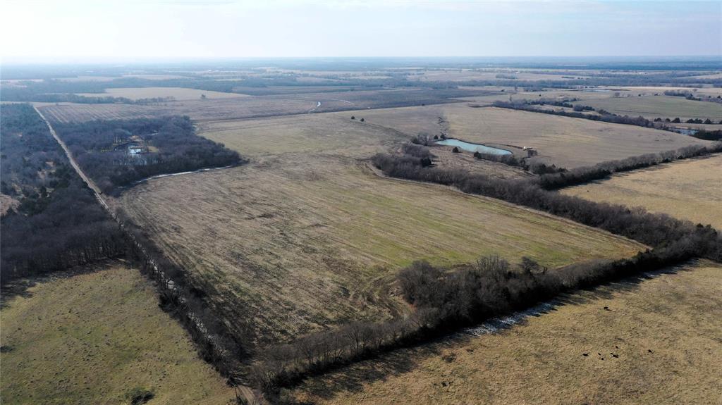 988 County Road 4142 Bonham, TX 75418 - Photo 10 of 23