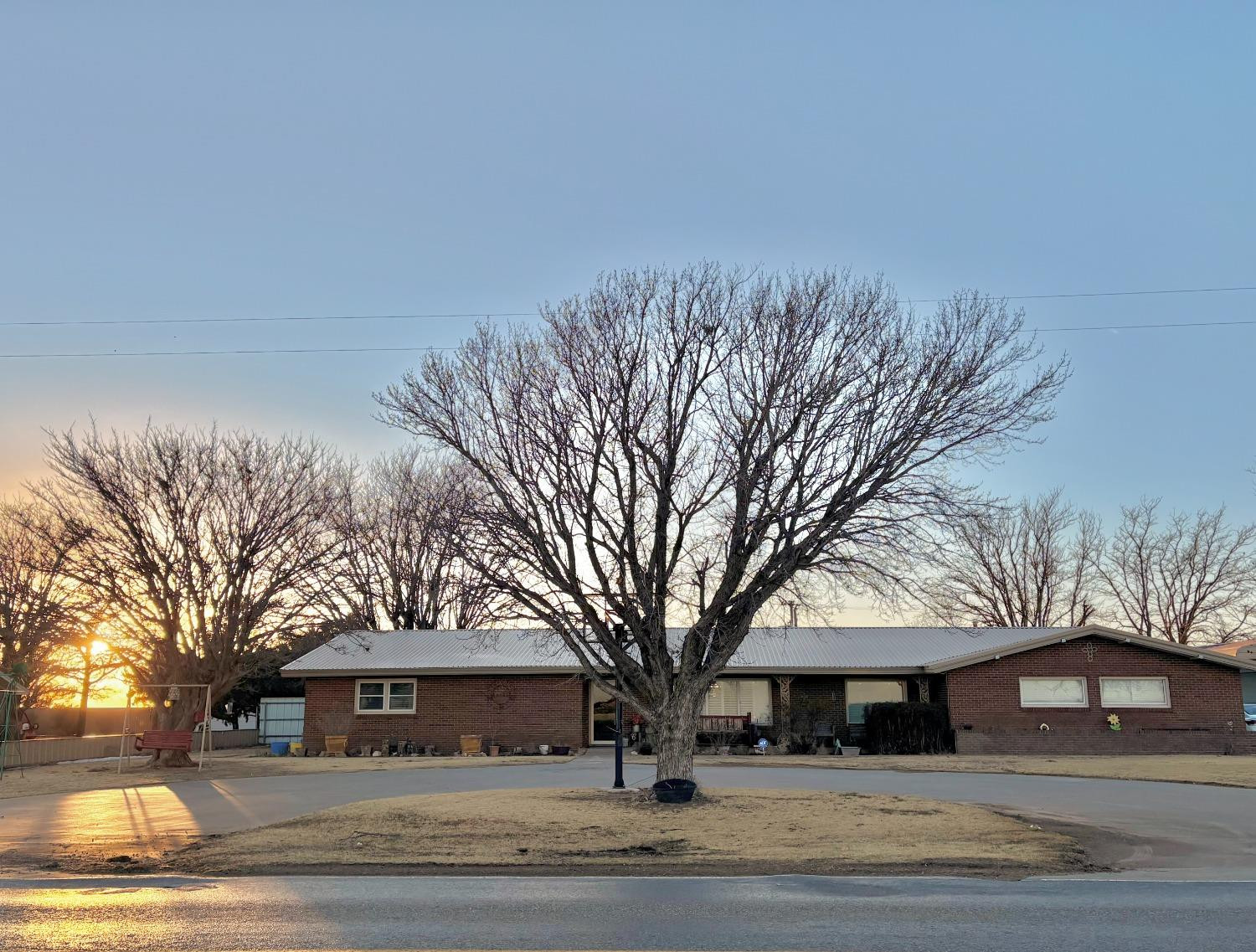 a view of a trees in front of a building