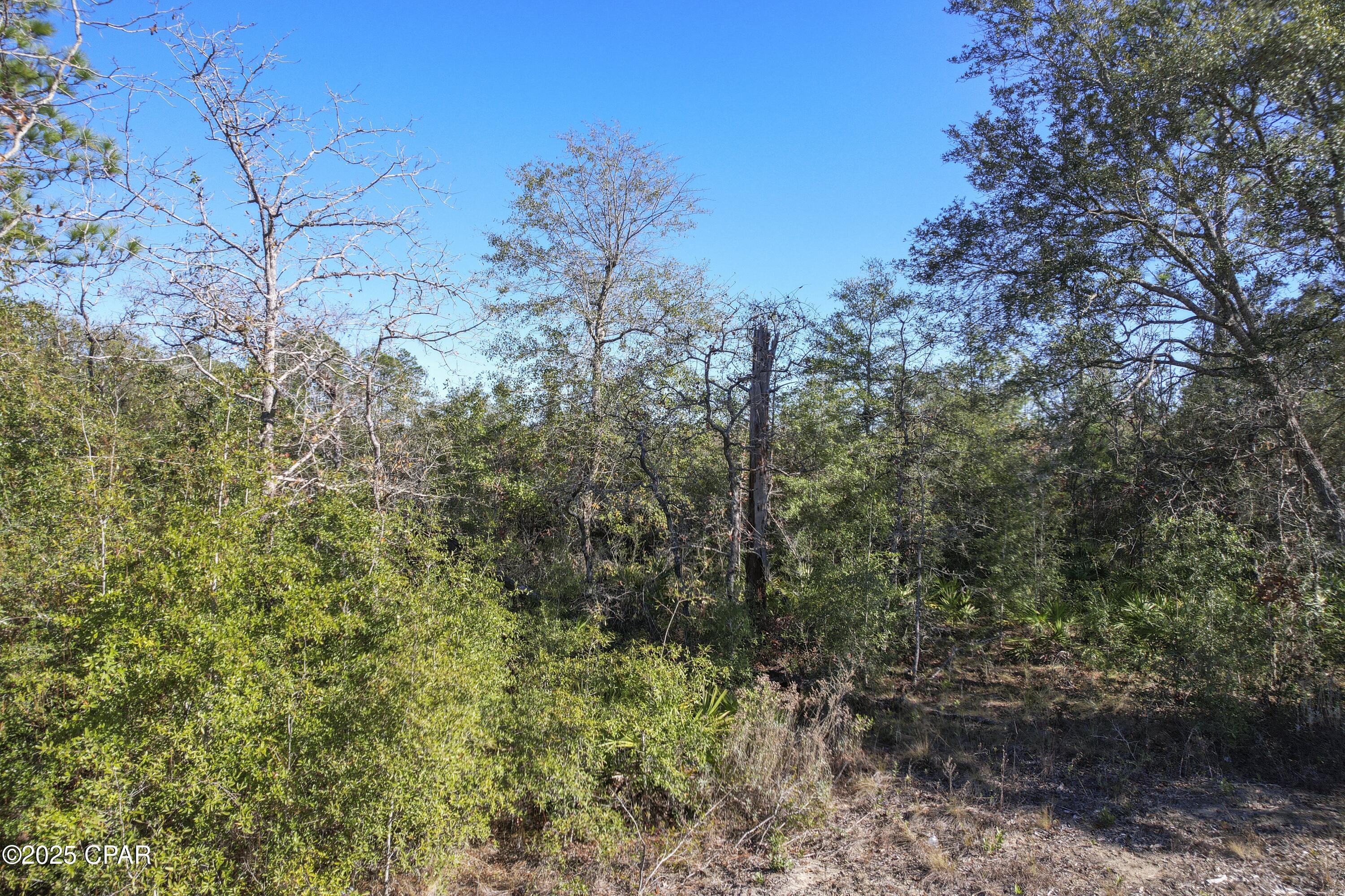 0 Stevens Road Altha, FL 32421 - Photo 11 of 15