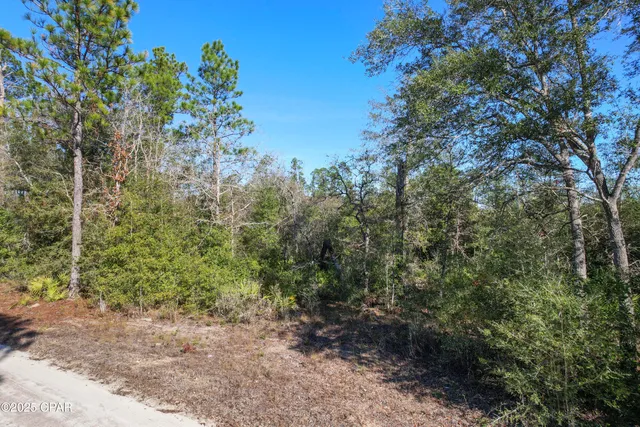 $16,669 | 0 Stevens Road, Altha, FL 32421