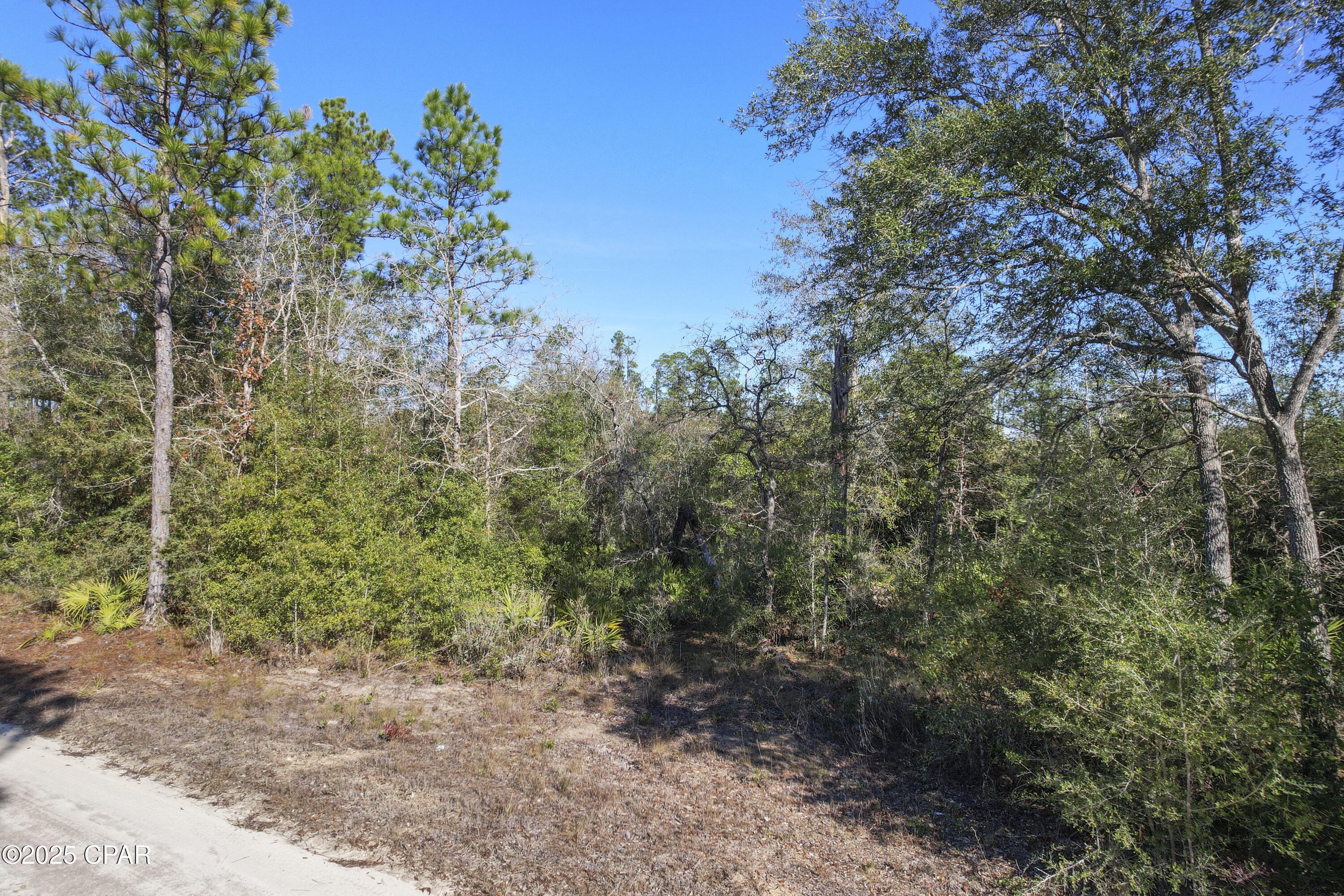 0 Stevens Road Altha, FL 32421 - Photo 12 of 15