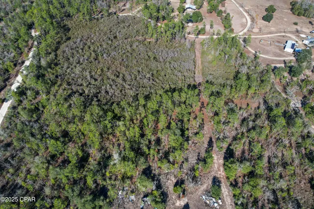 $16,669 | 0 Stevens Road, Altha, FL 32421