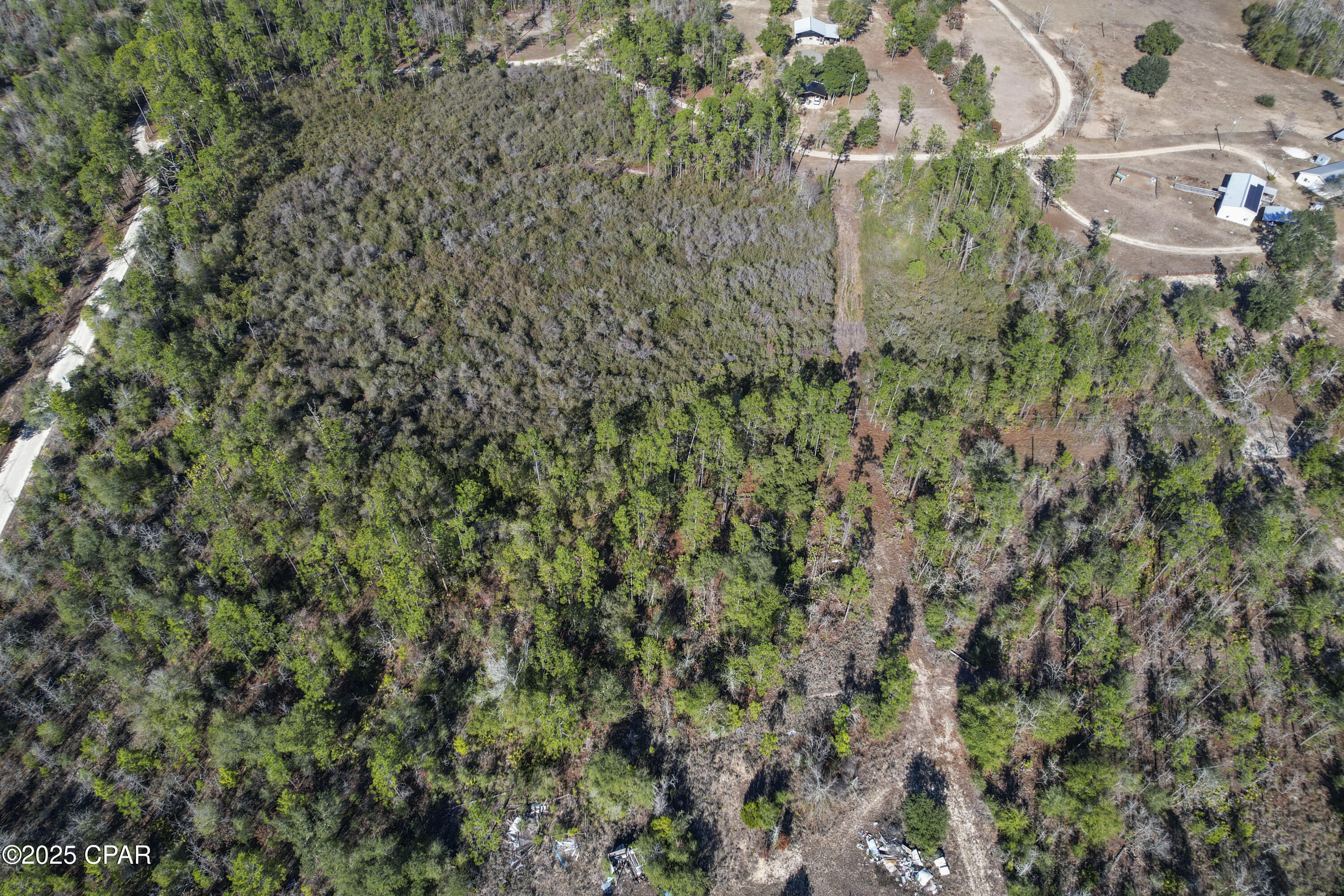 0 Stevens Road Altha, FL 32421 - Photo 14 of 15