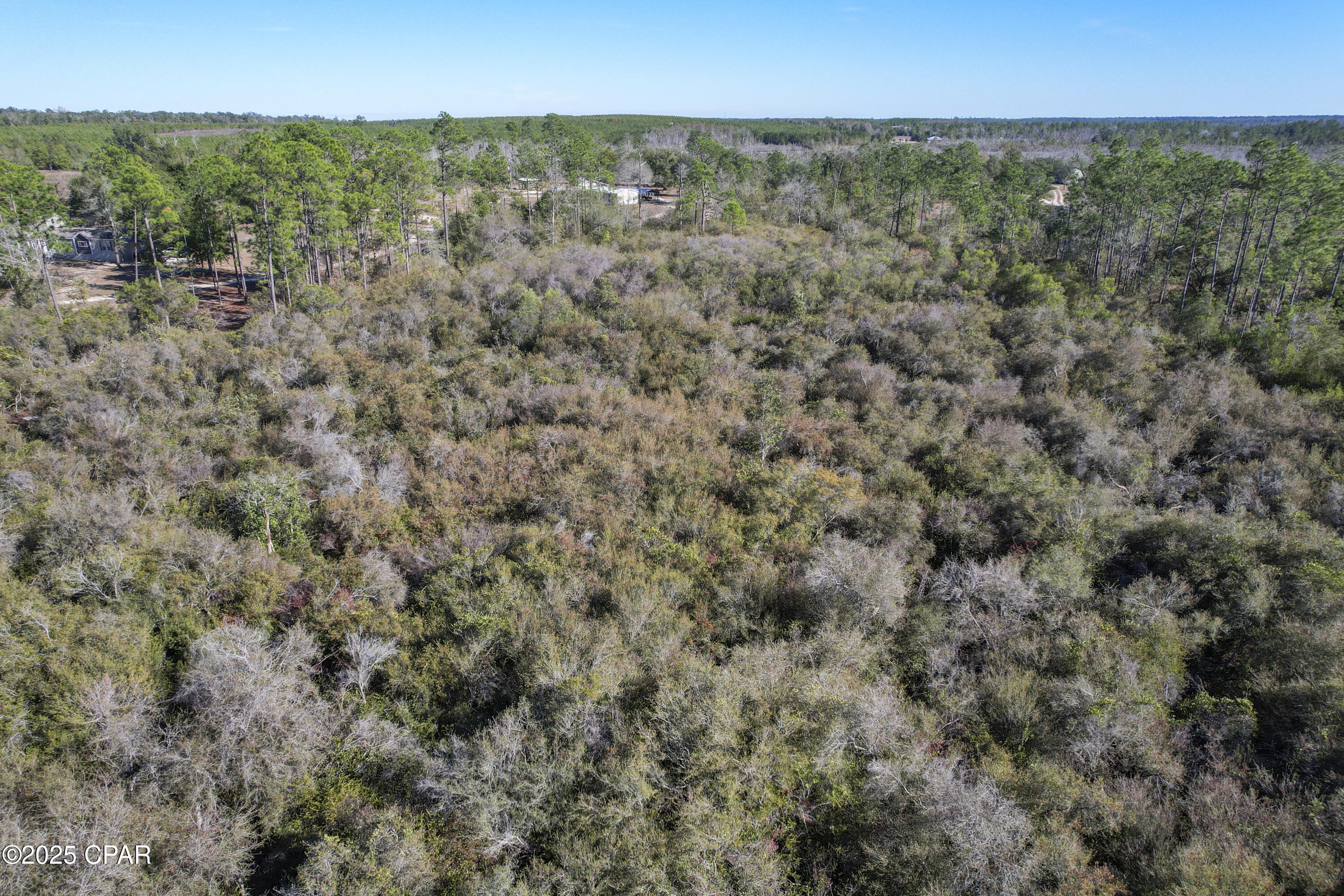 0 Stevens Road Altha, FL 32421 - Photo 15 of 15
