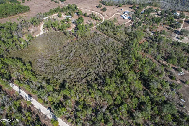 $16,669 | 0 Stevens Road, Altha, FL 32421