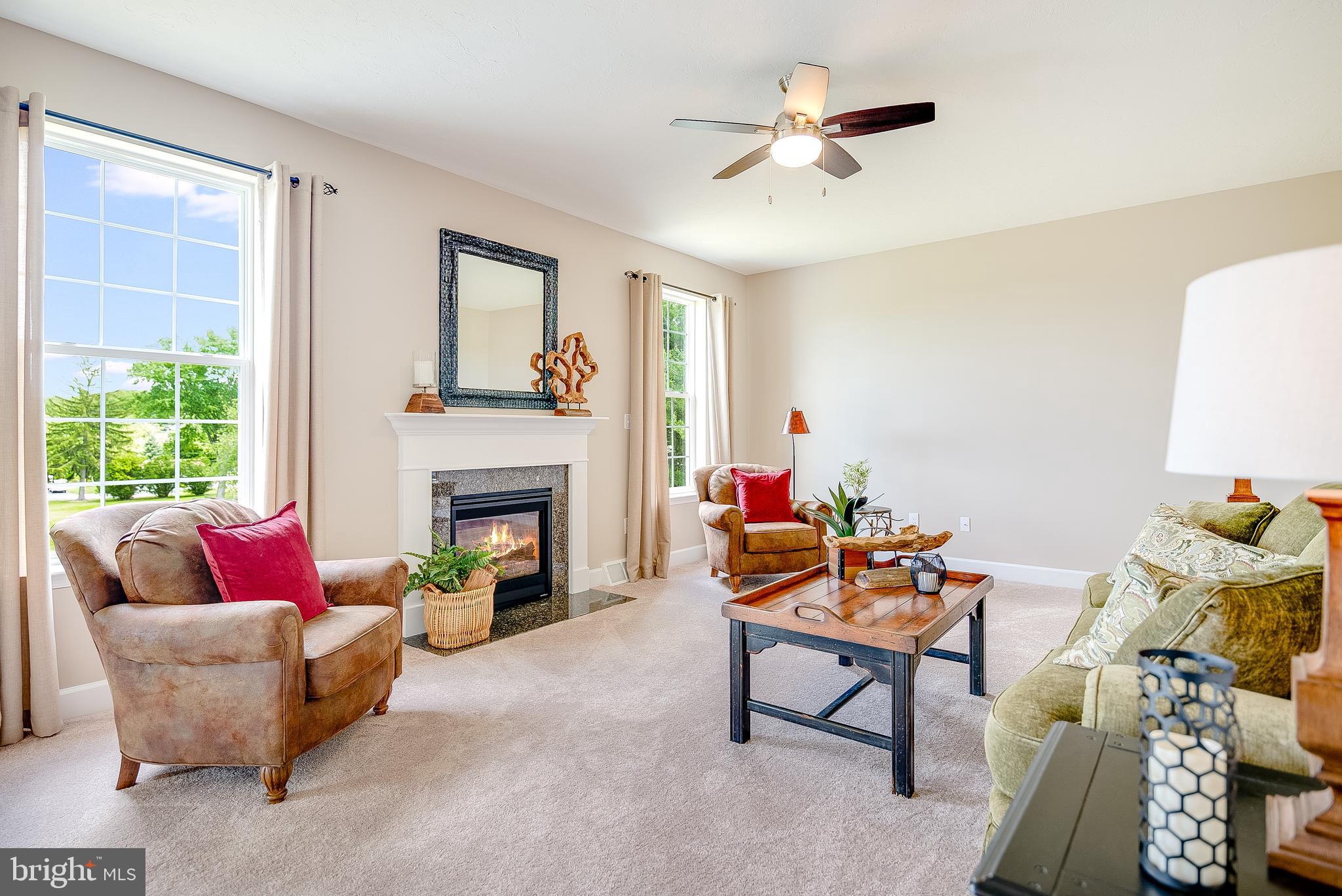 102 Piedmont Way, Unit 139 Hanover, PA 17331 - Photo 13 of 27 a living room with furniture and a fireplace