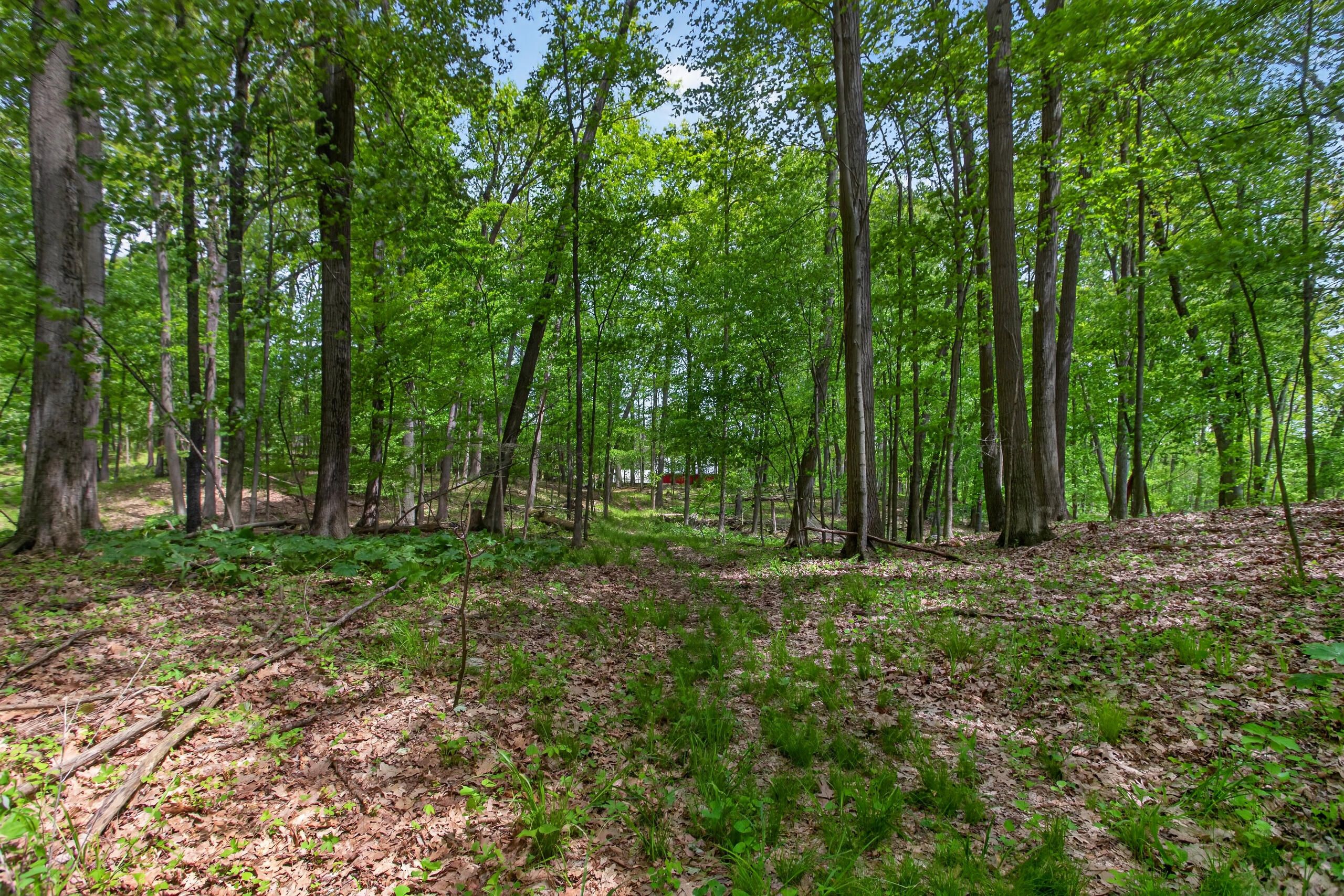 4681 Folks Road Horton, MI 49246 - Photo 62 of 69 IMG_9503
