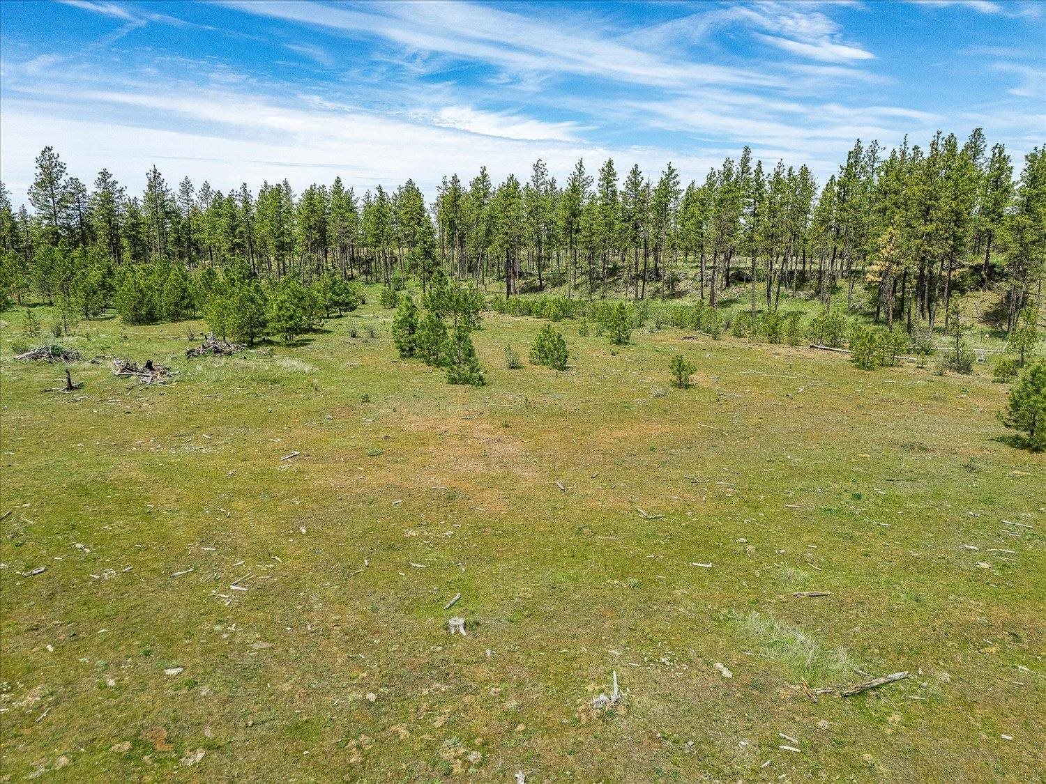 23755 South Ritchey Road Cheney, WA 99004 - Photo 18 of 34