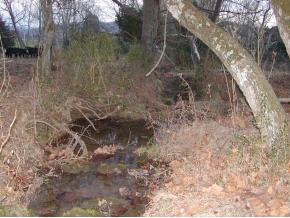 0 May Road, Unit TRACT 5 Jonesborough, TN 37659 - Photo 3 of 4 Photo 3