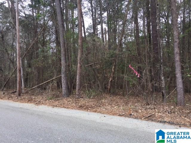 0 Patton Road, Unit 3 Tuscaloosa, AL 35404 - Photo 2 of 5