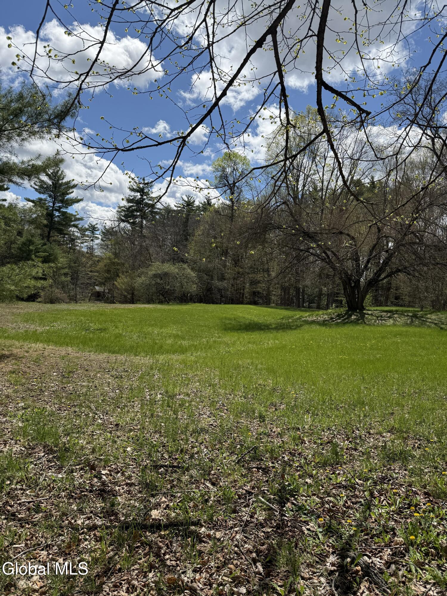 34 N Road Dresden, NY 12819 - Photo 14 of 17 IMG_7093