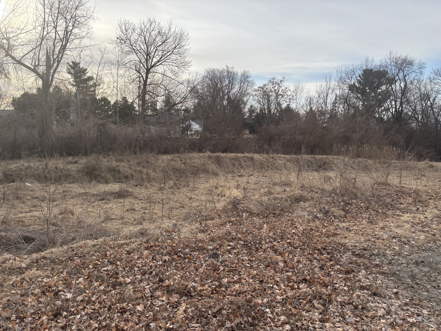 1251 Kimberly Road Bettendorf, IA 52722 - Photo 3 of 5 a view of a yard
