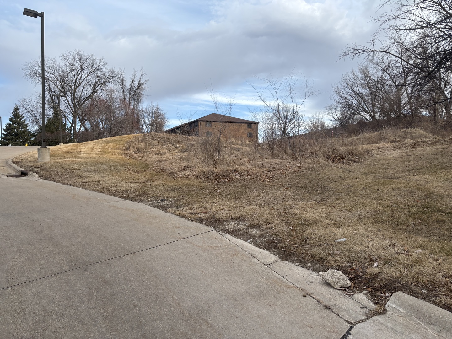 1251 Kimberly Road Bettendorf, IA 52722 - Photo 5 of 5 a view of a dry yard with trees