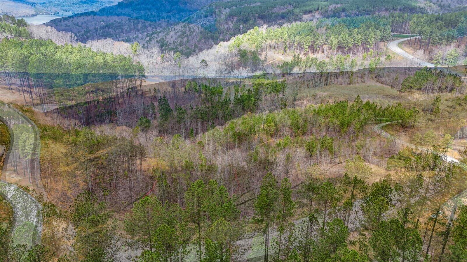 0 Birds Eye Way, Unit LOT 1065 Guild, TN 37340 - Photo 14 of 29 08-Birds Eye Way #1065-8