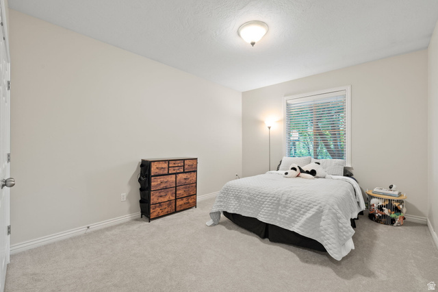 6208 West Bull River Road Highland, UT 84003 - Photo 43 of 90 Neutral-toned interior room featuring light gray carpeting and white baseboards