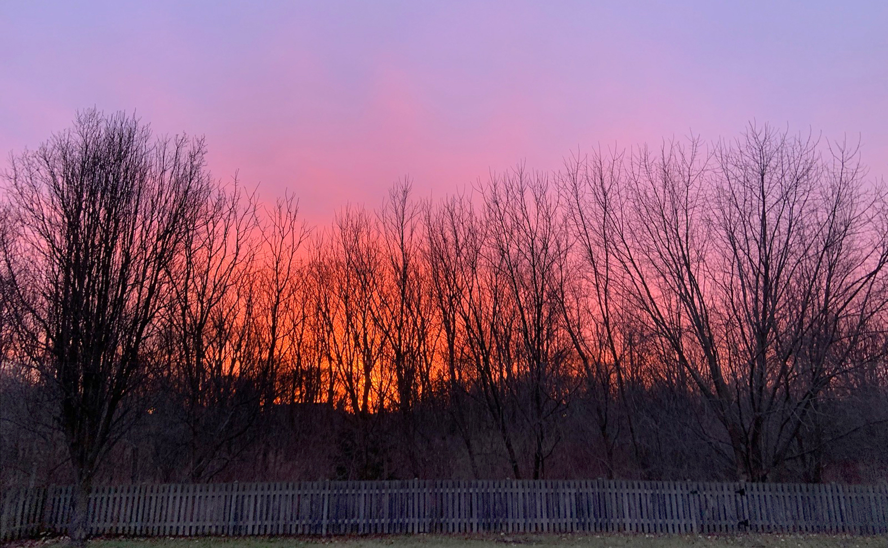 751 Sumac Drive Aurora, IL 60506 - Photo 31 of 33 a view of three trees