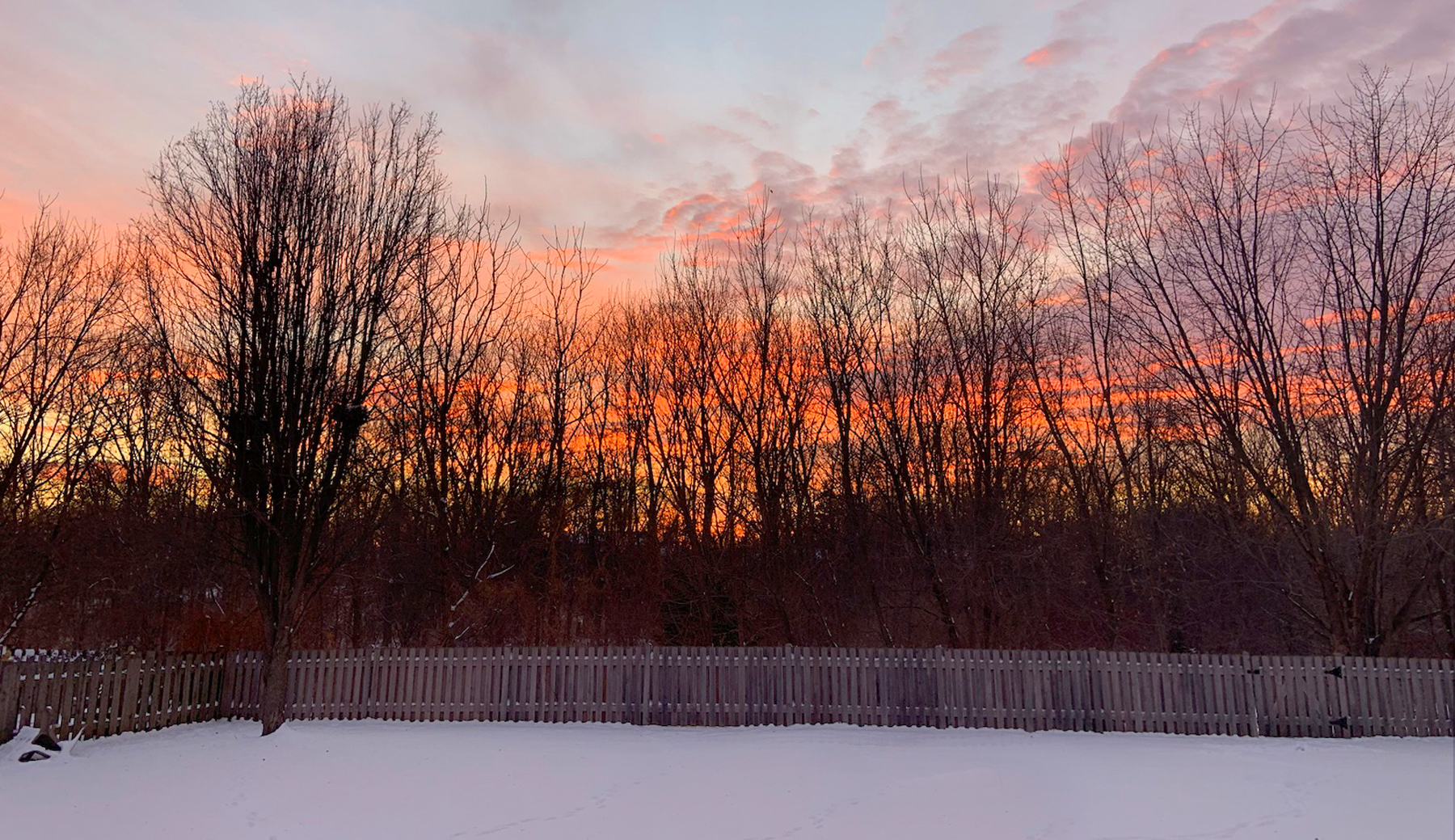 751 Sumac Drive Aurora, IL 60506 - Photo 32 of 33 a view of a yard