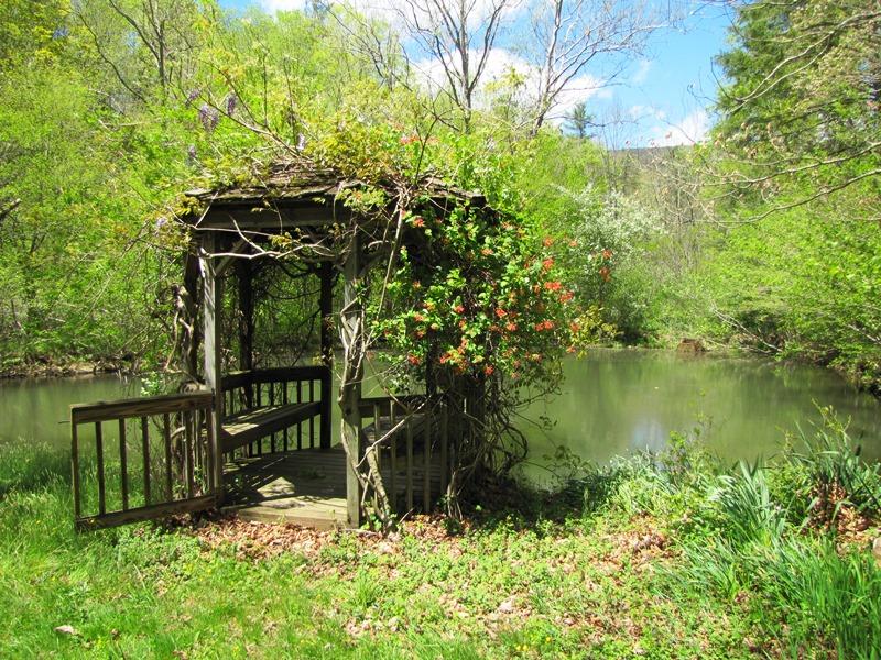 329 Trout Run Road Waiteville, WV 24984 - Photo 7 of 91 Gallery Image 7