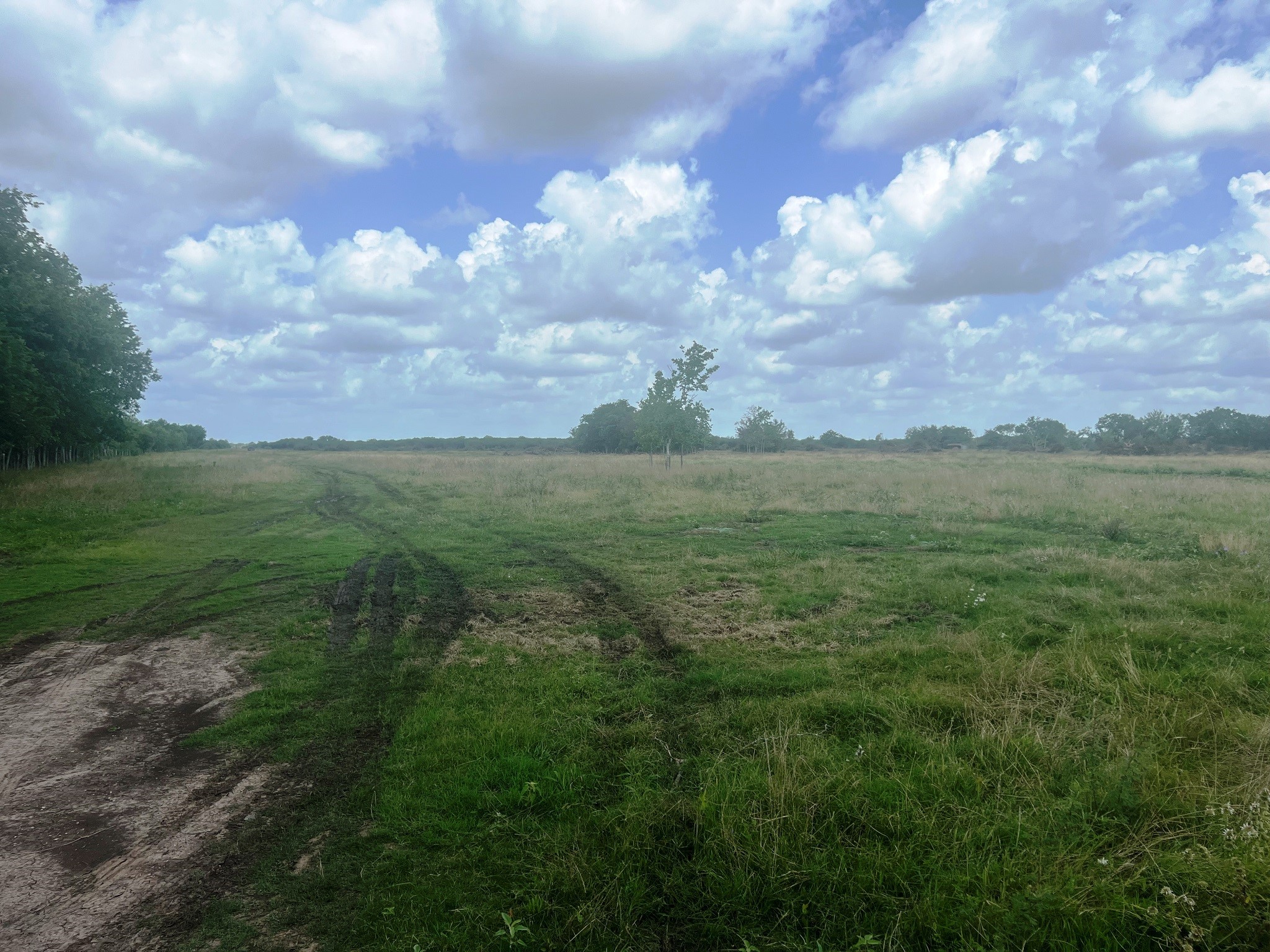 8925 Kerr Road Hempstead, TX 77445 - Photo 7 of 11