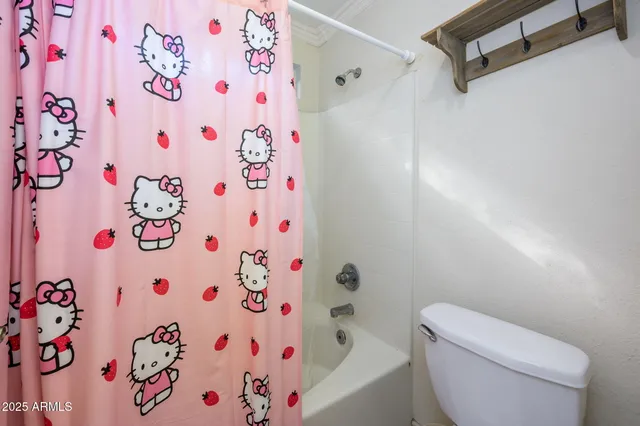 a white toilet sitting next to a shower curtain