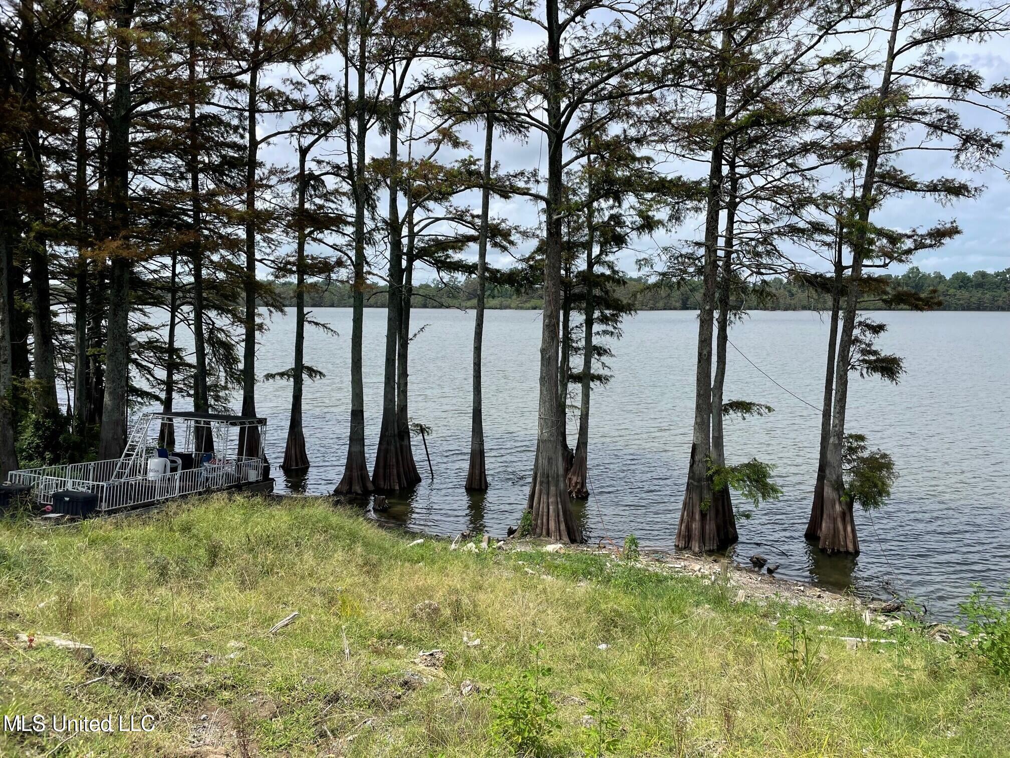 980 Moon Lake Road Dundee, MS 38626 - Photo 3 of 5 3