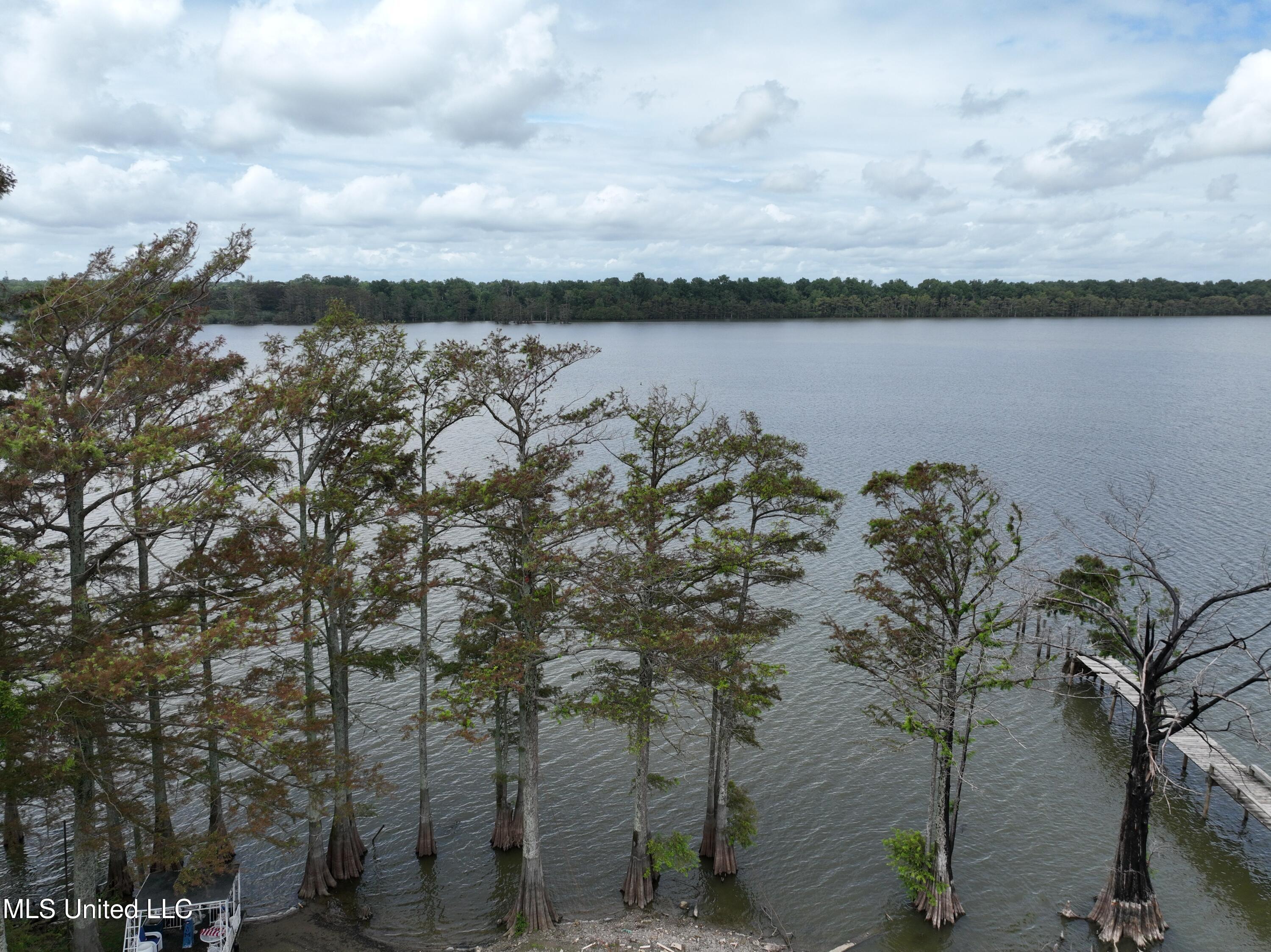 980 Moon Lake Road Dundee, MS 38626 - Photo 4 of 5 DJI_0502