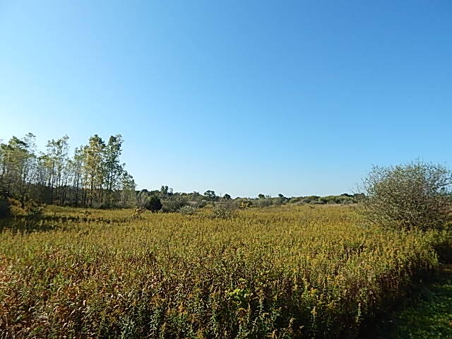 2857 Oakley Road Stockbridge, MI 49285 - Photo 1 of 27 Field view