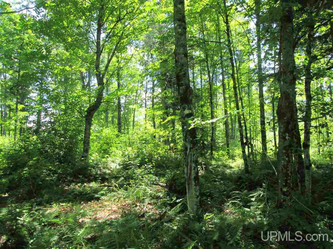 Tbd Ff 3940 Road Iron River, MI 49935 - Photo 4 of 10
