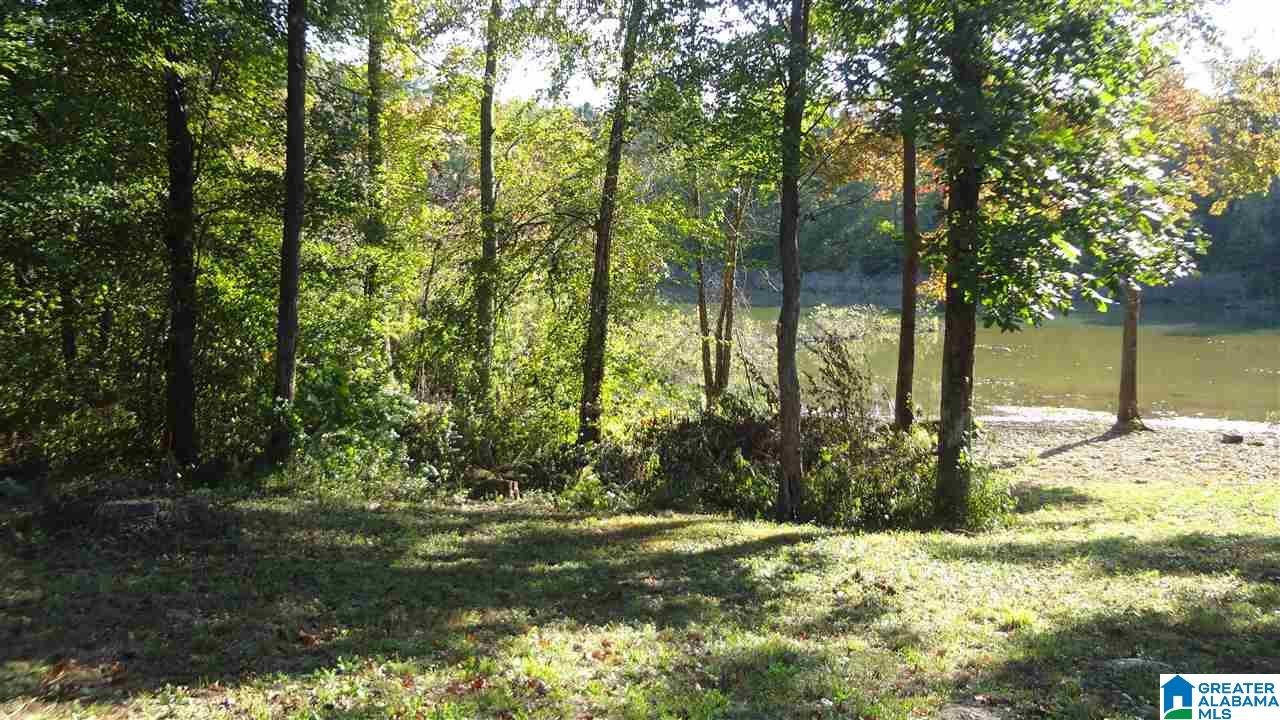 Lot #7 Lost Creek Cove Road, Unit 7 Delta, AL 36258 - Photo 9 of 14