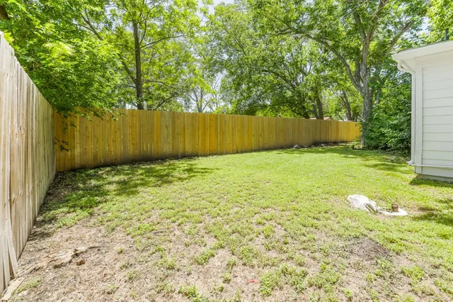 a view of backyard with tree
