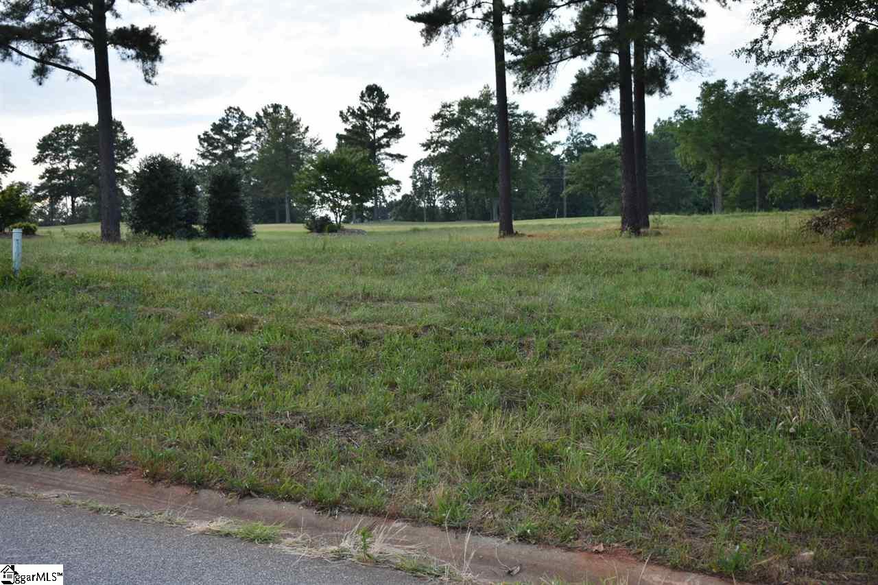 460 World Tour Drive Inman, SC 29349 - Photo 6 of 8