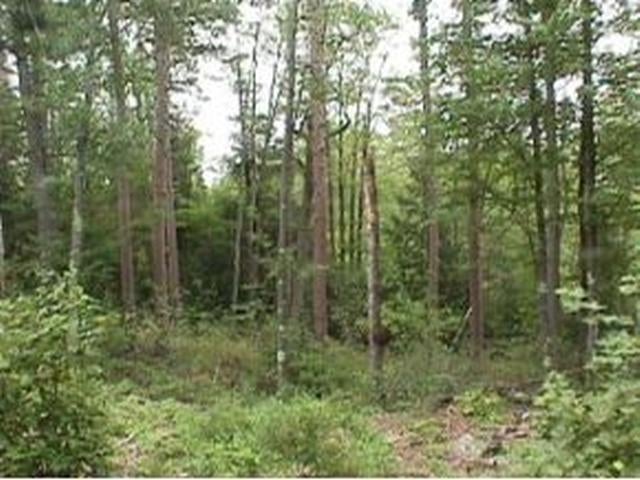 9999 Forest Drive, Unit LOT 1 Rhinelander, WI 54501 - Photo 2 of 9 Gallery Image 2