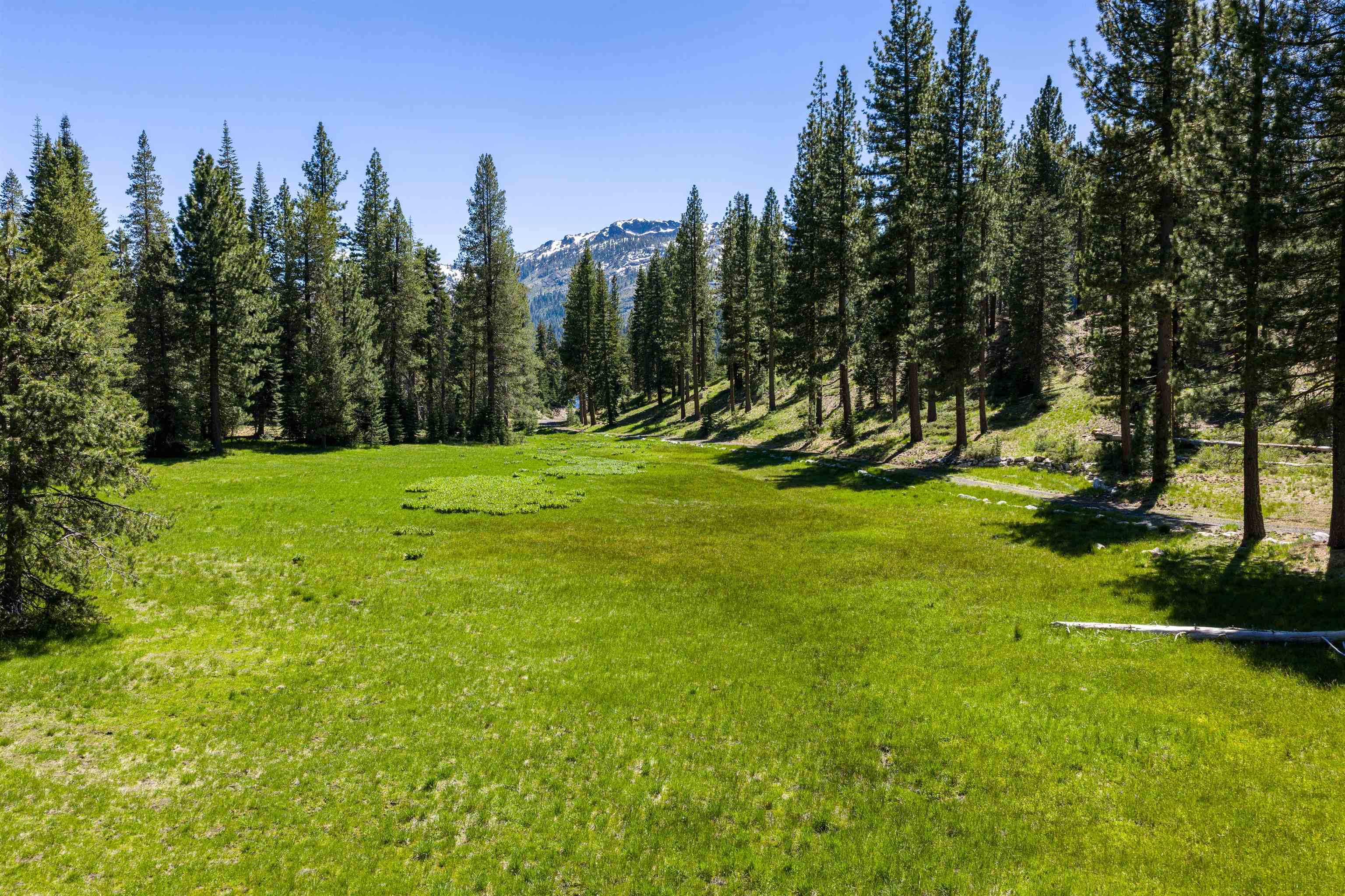 Henness Pass Road Sierra City, CA 96125 - Photo 2 of 28