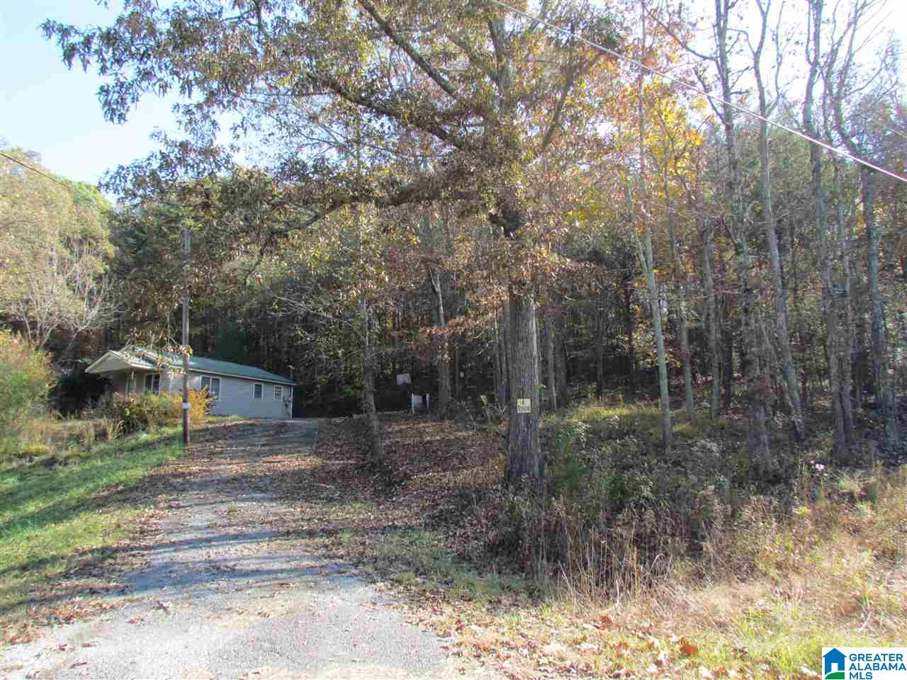 55 Jug Hollow Road Piedmont, AL 36272 - Photo 19 of 19