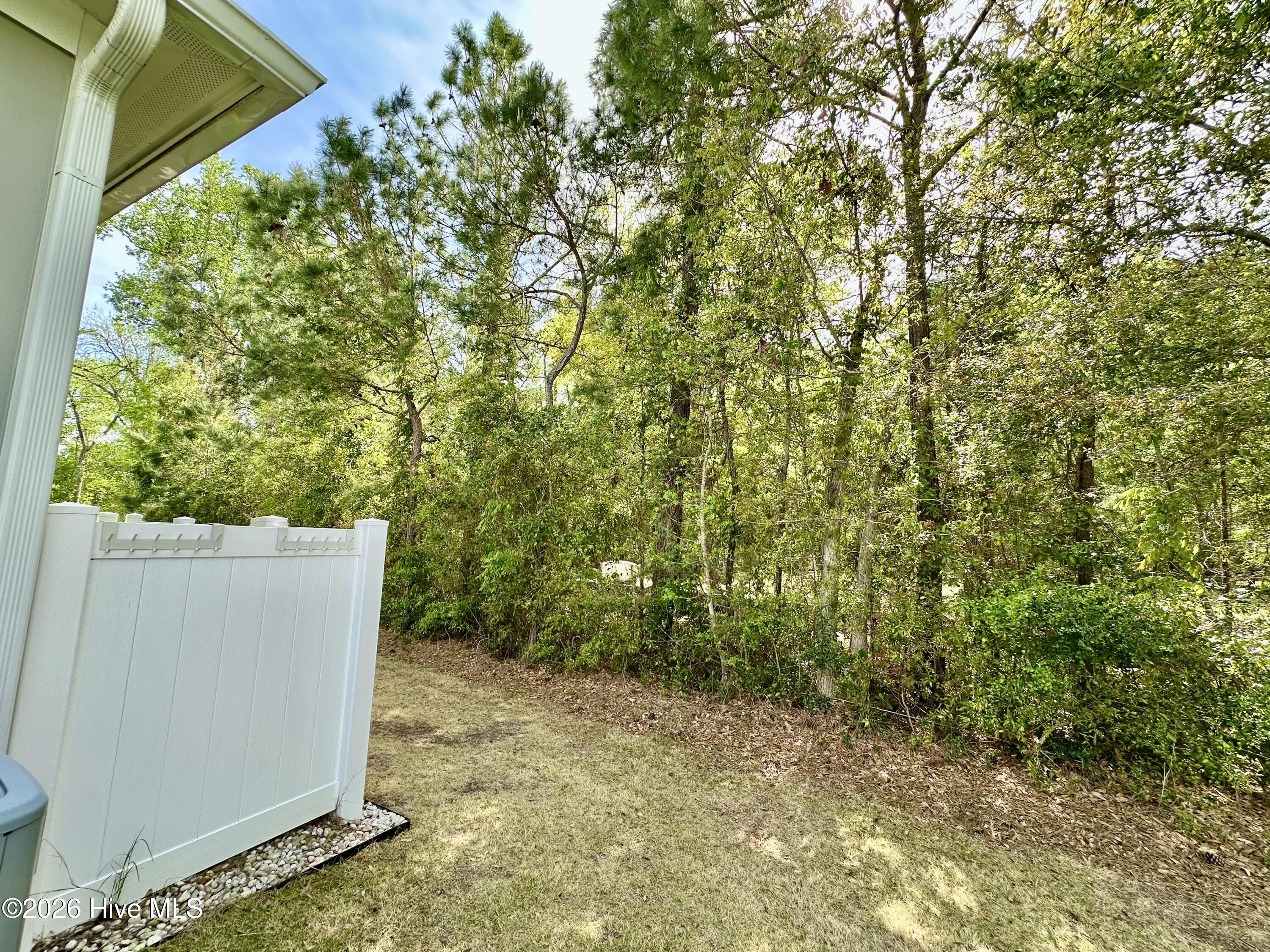 1351 Albacore Loop Calabash, NC 28467 - Photo 18 of 34 IMG_7287