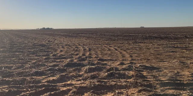 a view of an ocean with boats