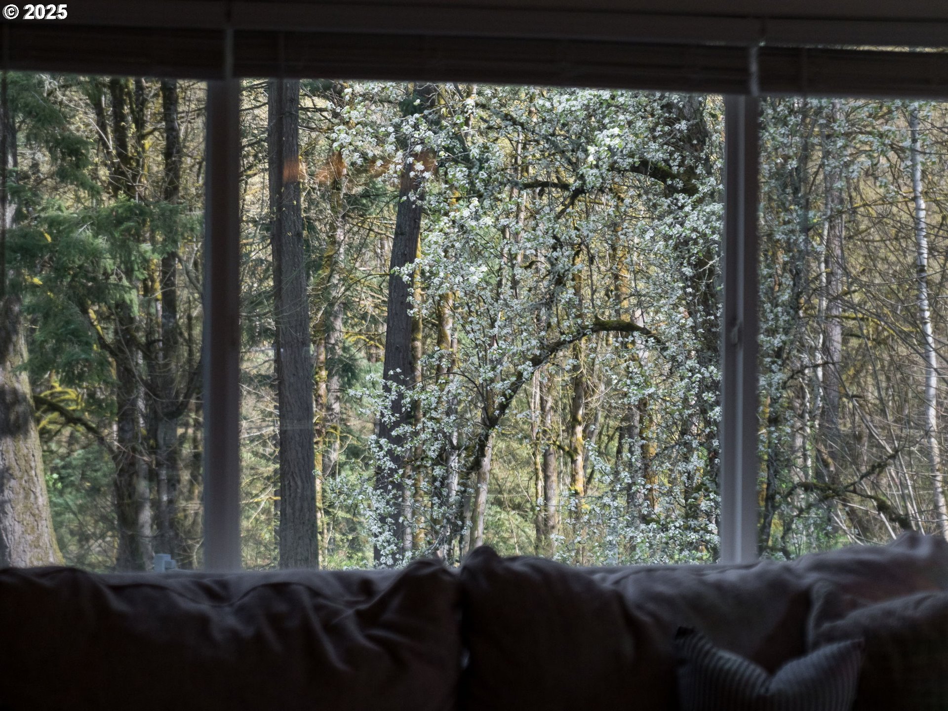 1302 Southwest 19th Drive Gresham, OR 97080 - Photo 44 of 46