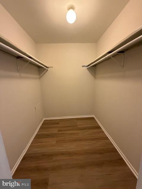 10008 Stedwick Road, Unit 10008 Montgomery Village, MD 20886 - Photo 17 of 17 CLOSET