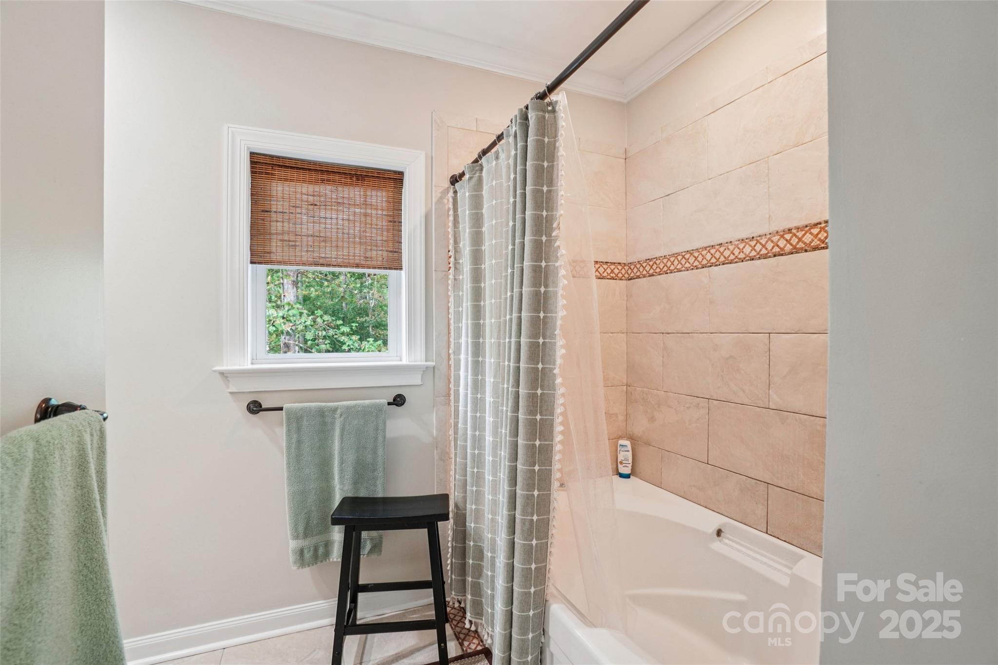 813 Beech Tree Place Hendersonville, NC 28792 - Photo 34 of 46 a bathroom with a bathtub and a shower