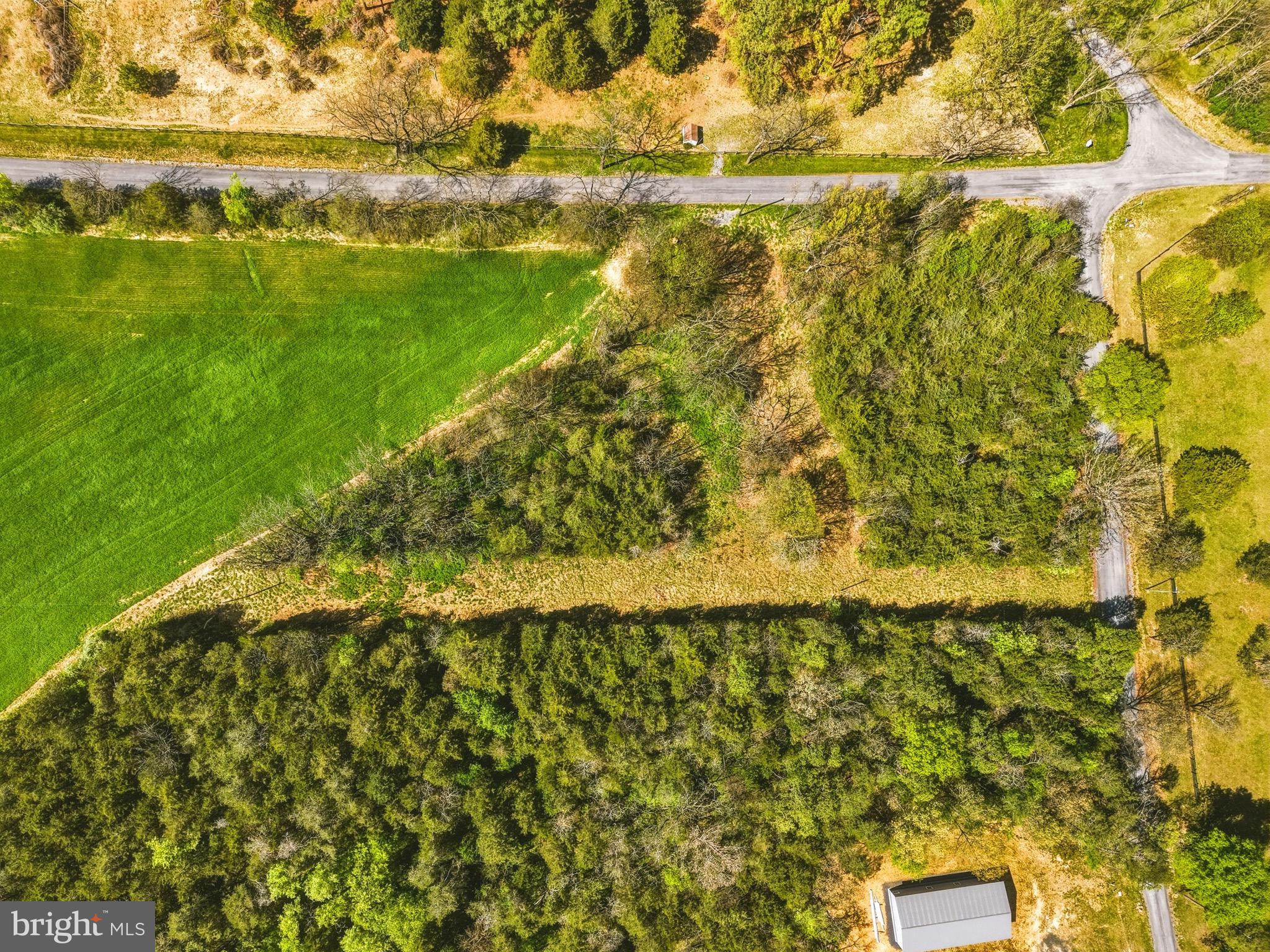 Polk Road Edinburg, VA 22824 - Photo 1 of 14