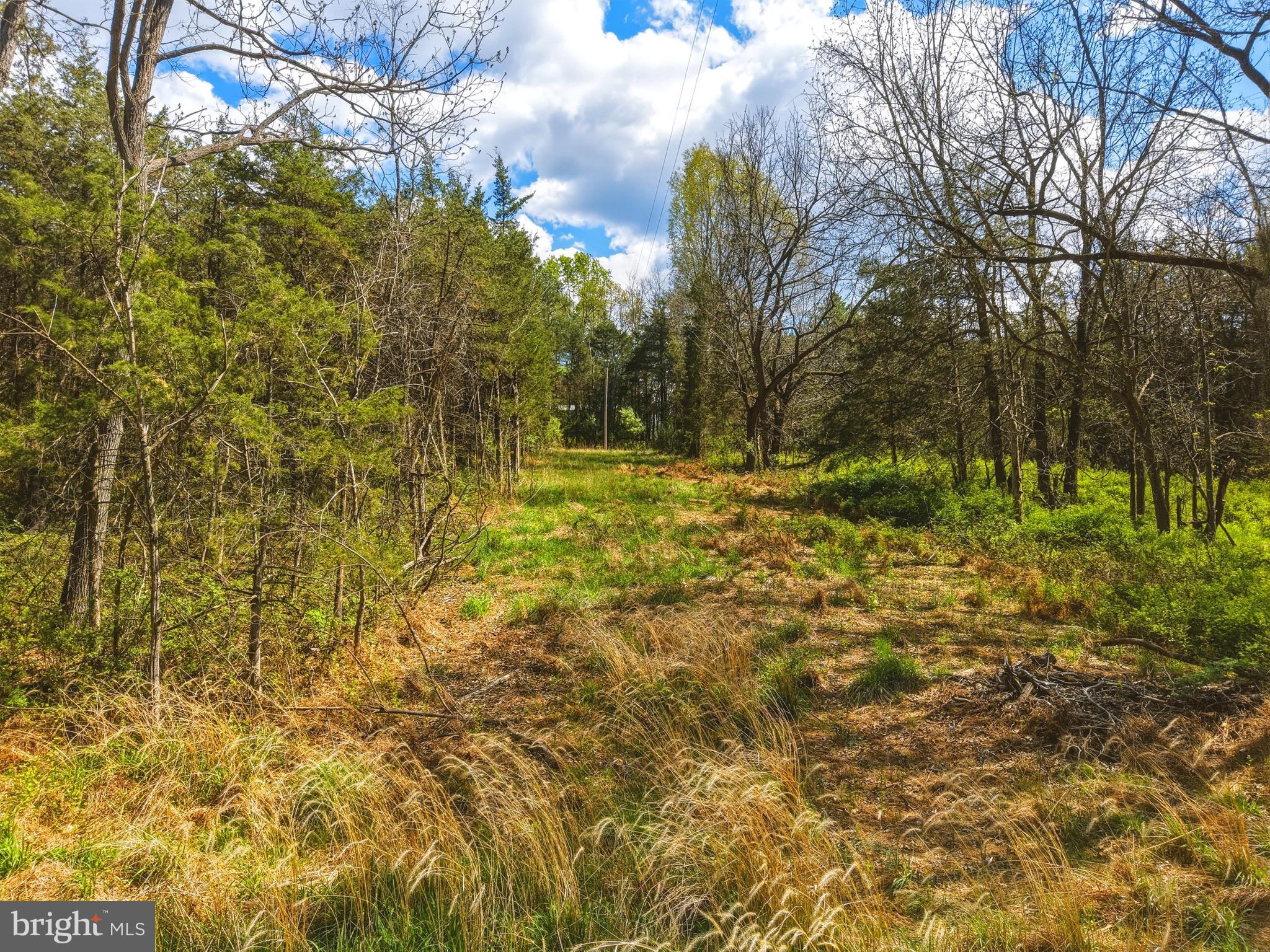Polk Road Edinburg, VA 22824 - Photo 6 of 14 a view of backyard with green space