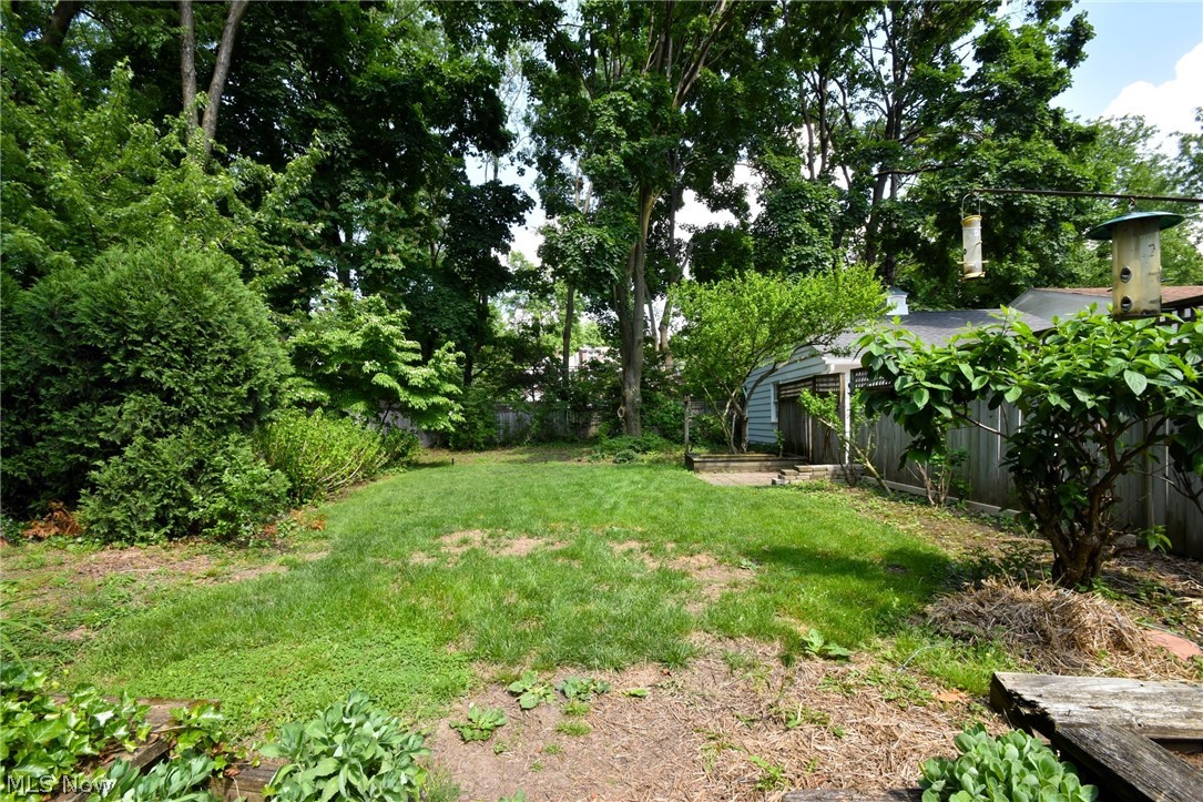 1375 Yellowstone Road Cleveland, OH 44121 - Photo 47 of 48 Back yard