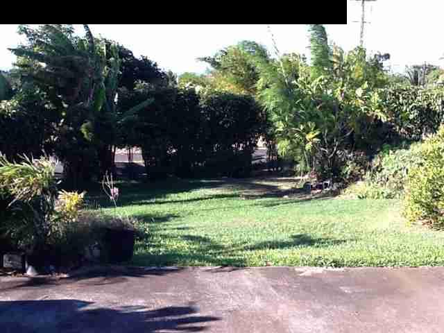 944 Kokomo Road Haiku, HI 96708 - Photo 2 of 11 a view of outdoor space and yard