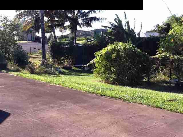 944 Kokomo Road Haiku, HI 96708 - Photo 8 of 11 a view of backyard with plants and outdoor seating