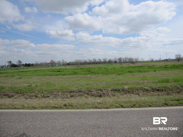 0 South Friendship Road South Daphne, AL 36526 - Photo 3 of 5 Level Lots
