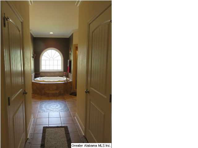 8451 Jackson Street Morris, AL 35116 - Photo 15 of 32