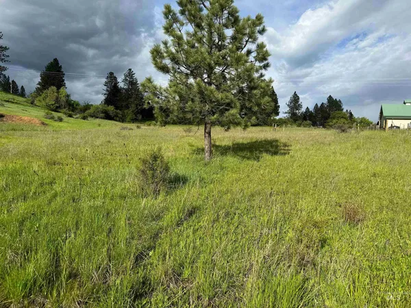 $129,000 | Tbd Tahoe Loop, Kooskia, ID 83539