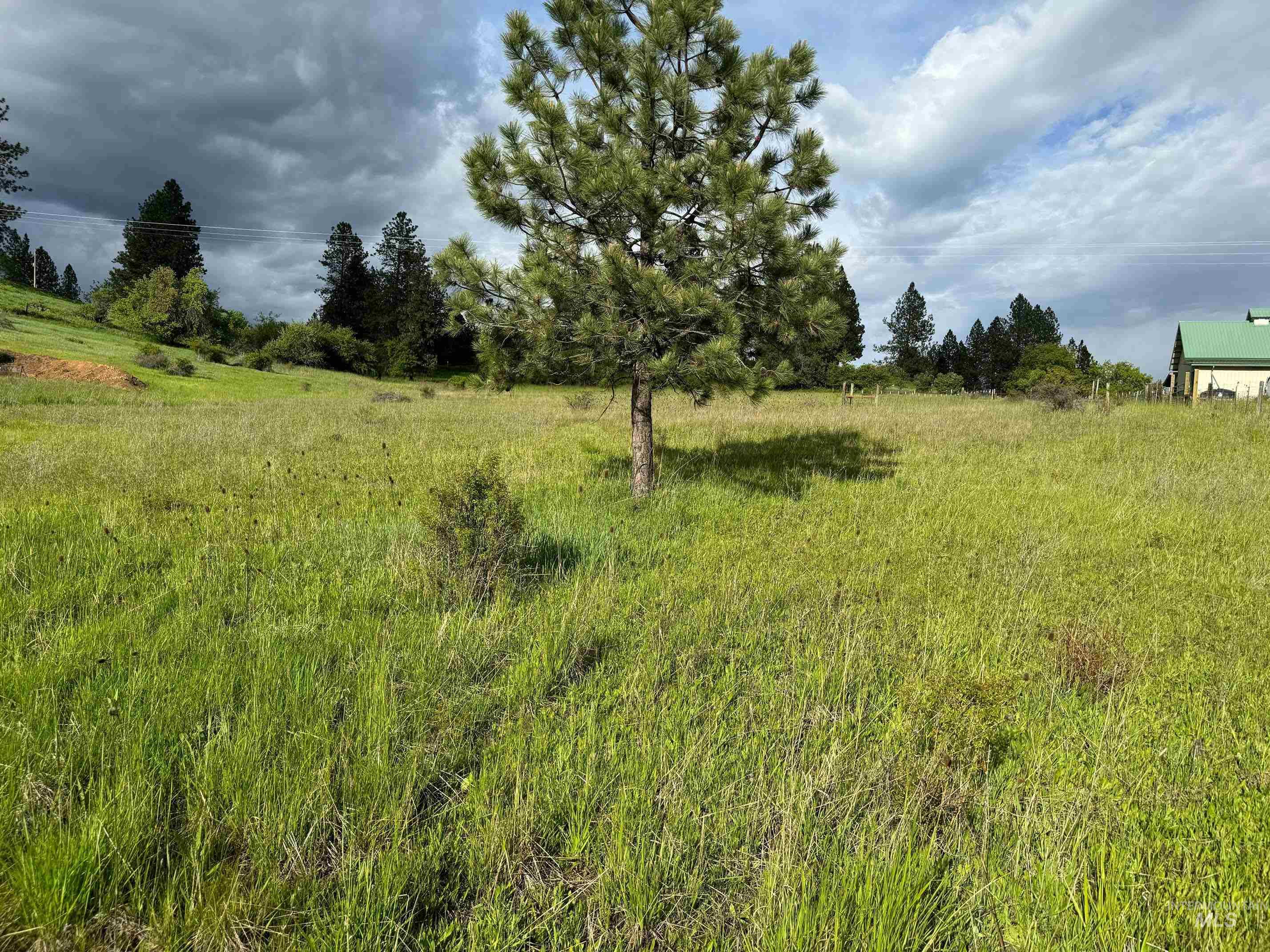 Tbd Tahoe Loop Kooskia, ID 83539 - Photo 6 of 8