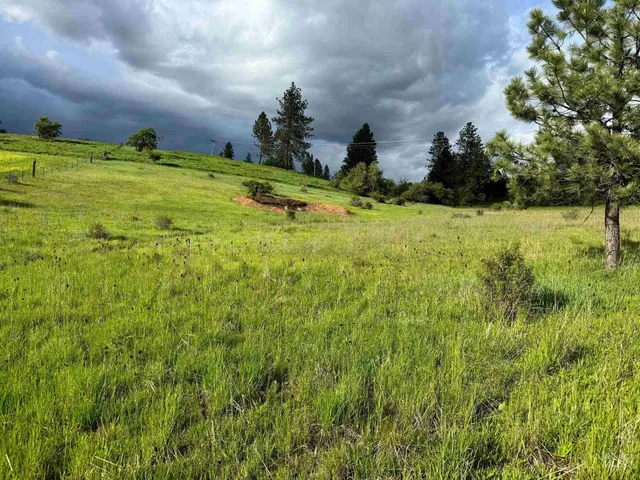 $129,000 | Tbd Tahoe Loop, Kooskia, ID 83539
